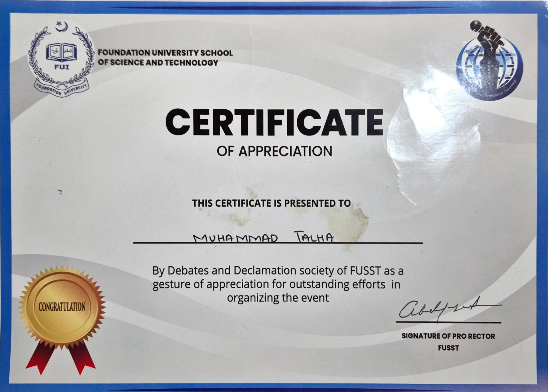 Professional Certificate