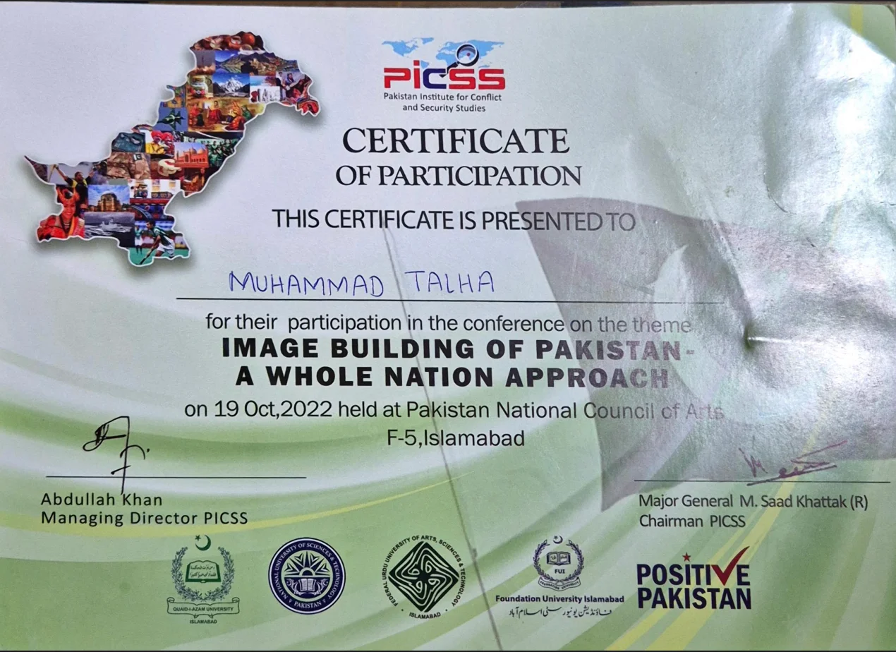 Professional Certificate 3